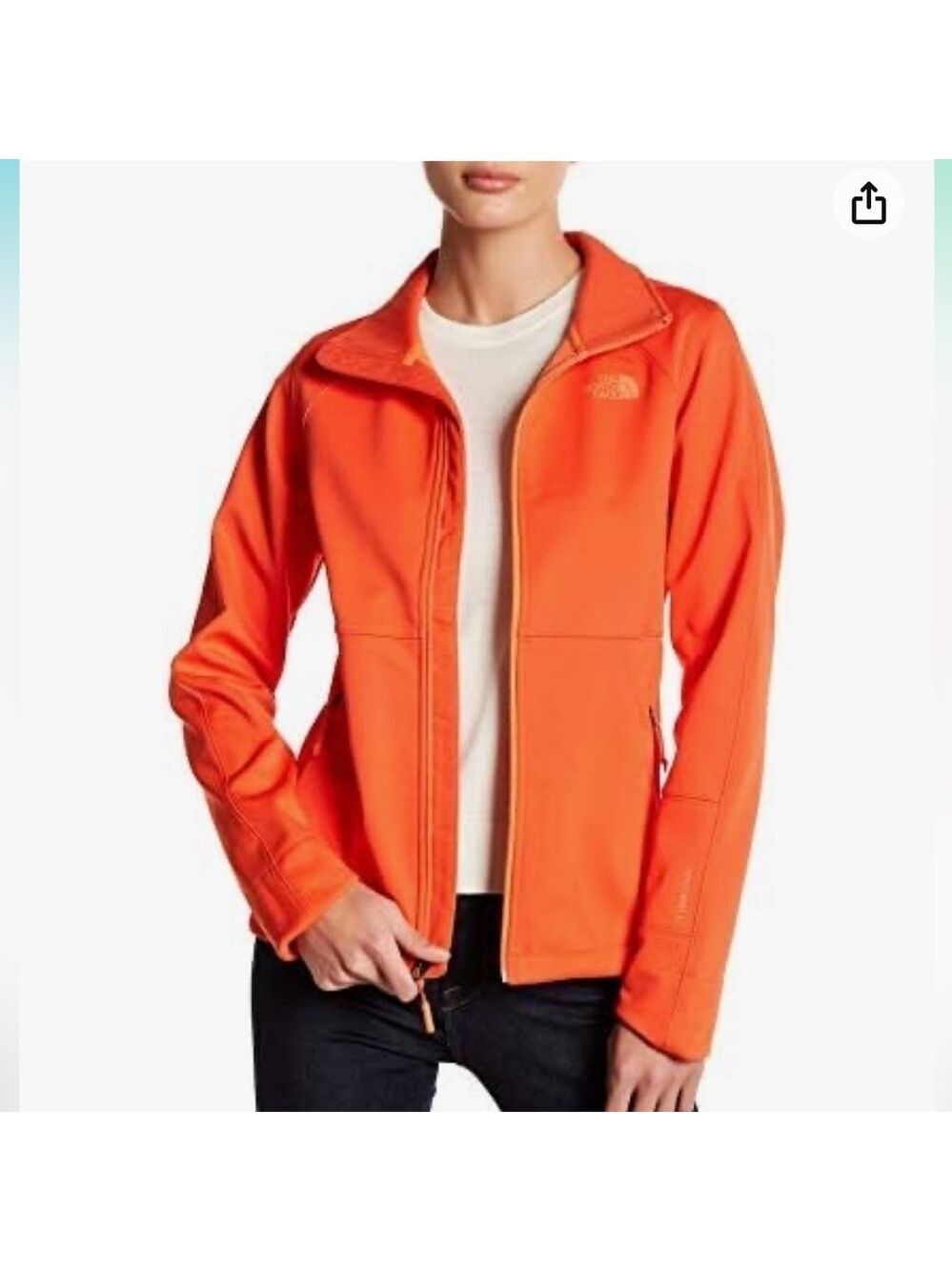 The north face women’s jacket
